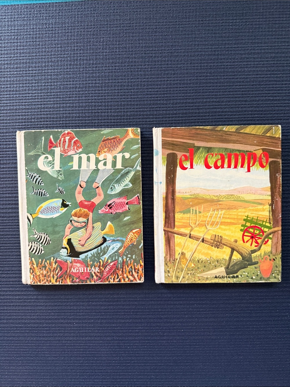 1972 El Mar & El Campo Spanish Children’s Book - Madrid